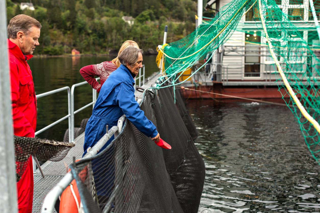 Salmon Fish Farm